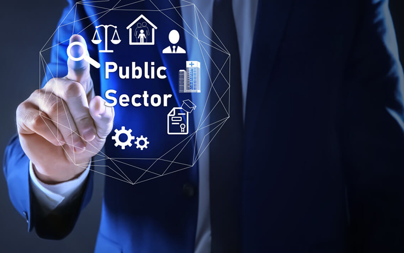 Public sector organisations and industries