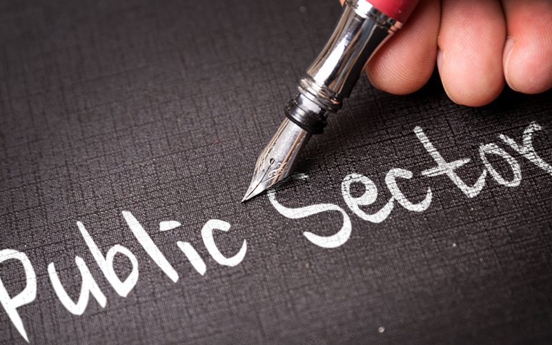 Public sector economics