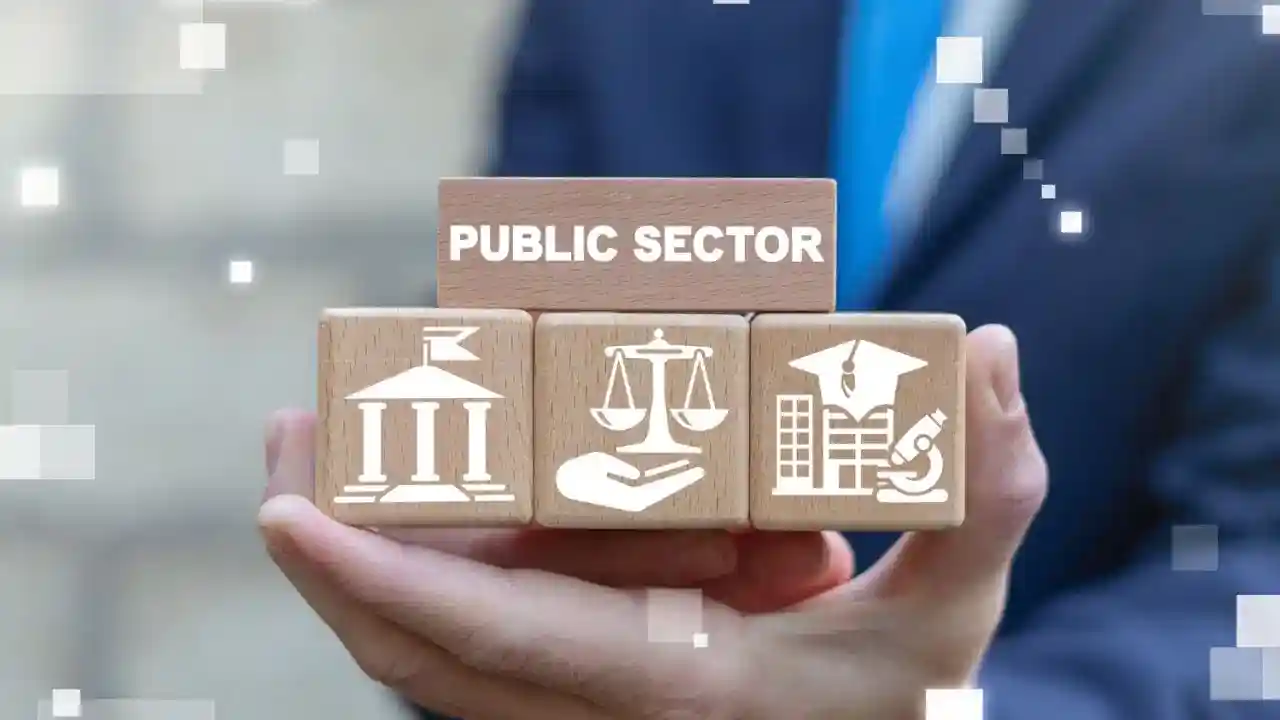 What is the public sector?